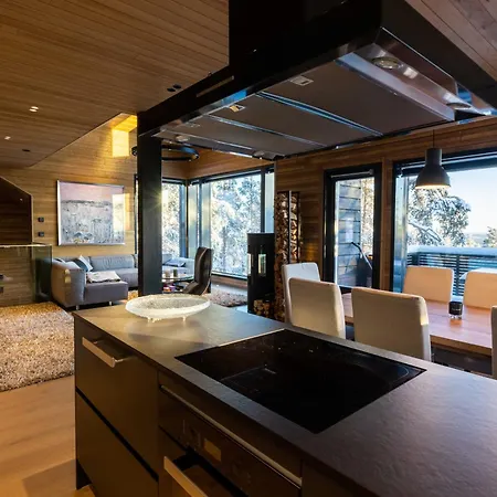Aavalevi Northern Charm Apartment *
