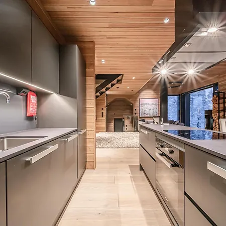 Lägenhet Northern Charm By Aavalevi Levi