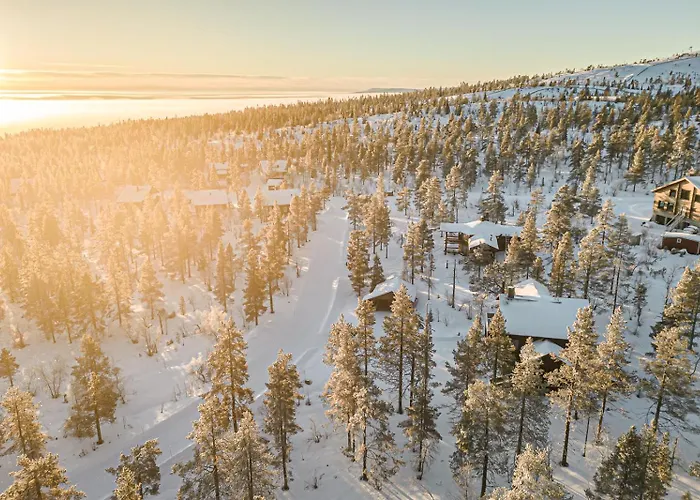 Northern Charm By Aavalevi 列维