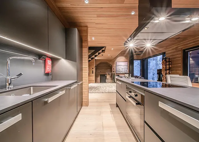 公寓 Northern Charm By Aavalevi 列维